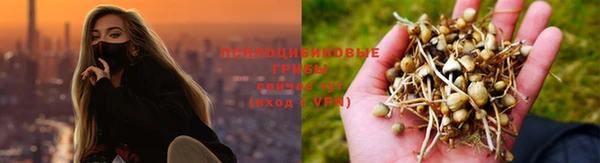 соль ск Михайлов